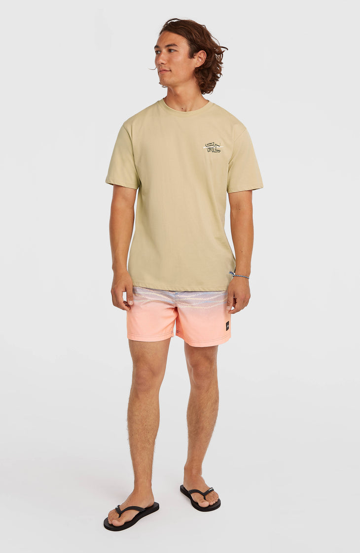 T-shirt O'Neill Retro Back-Print | Cocoa Sand