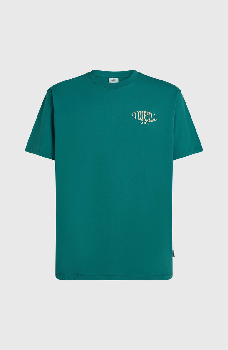 T-shirt Box Logo | Botanical Heat