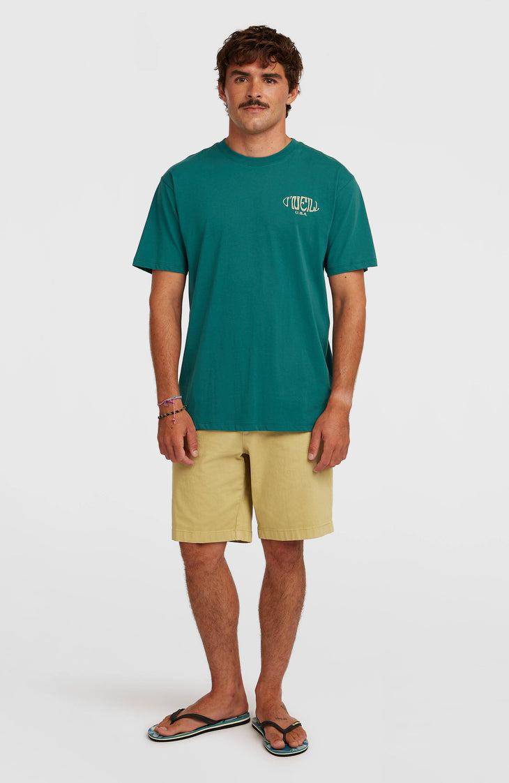 T-shirt Box Logo | Botanical Heat