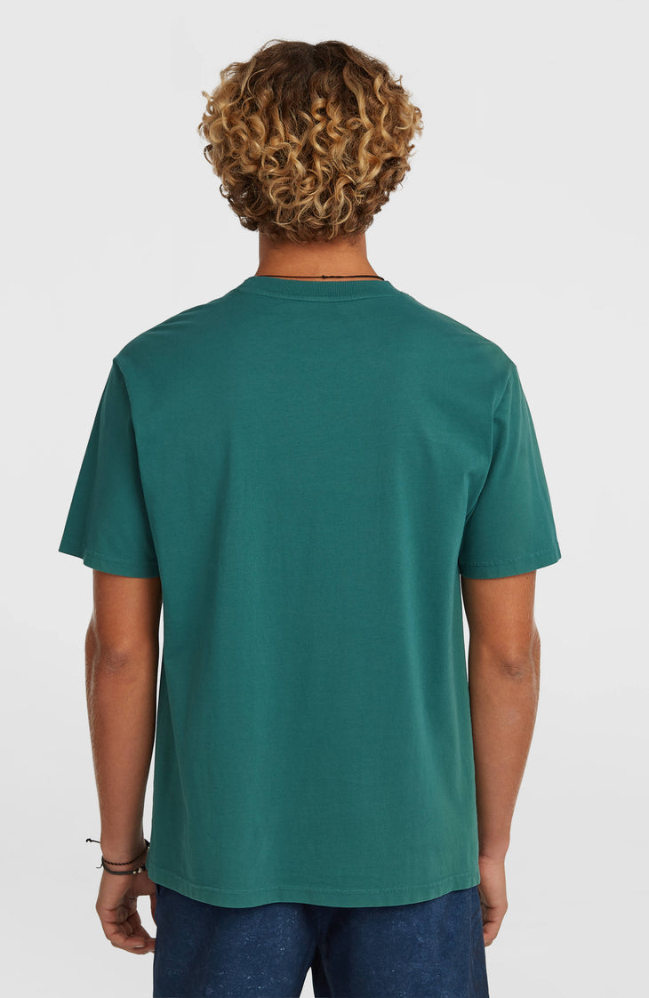 T-shirt O'Riginals Front-Stripe | Botanical Heat
