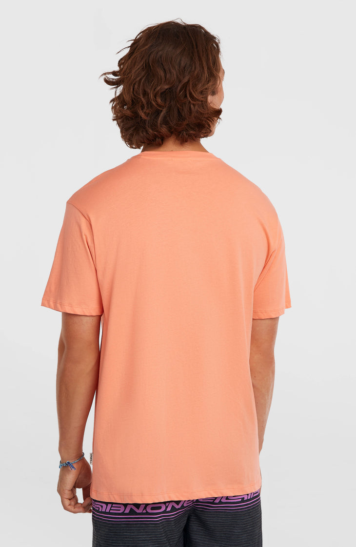 T-shirt O'Neill Logo Stripe | Funky Peach