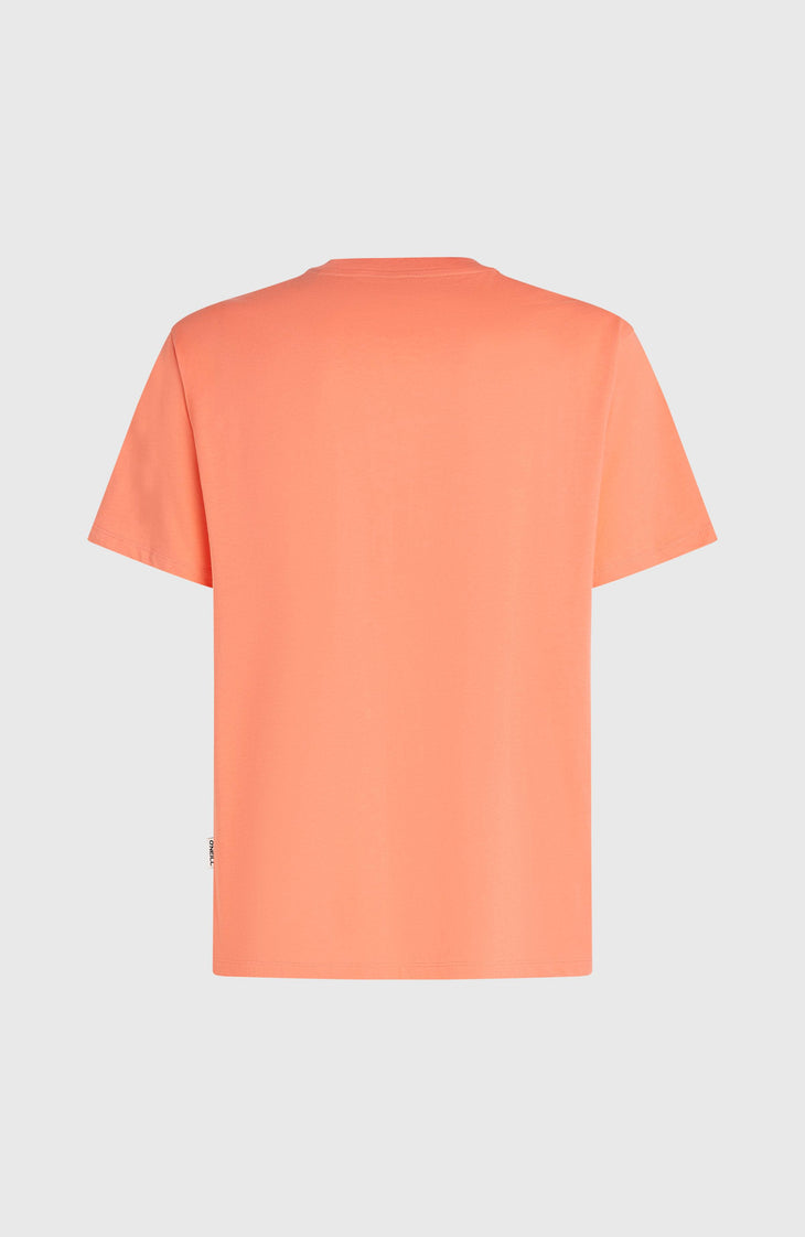 T-shirt O'Neill Must-Have Graphic | Funky Peach