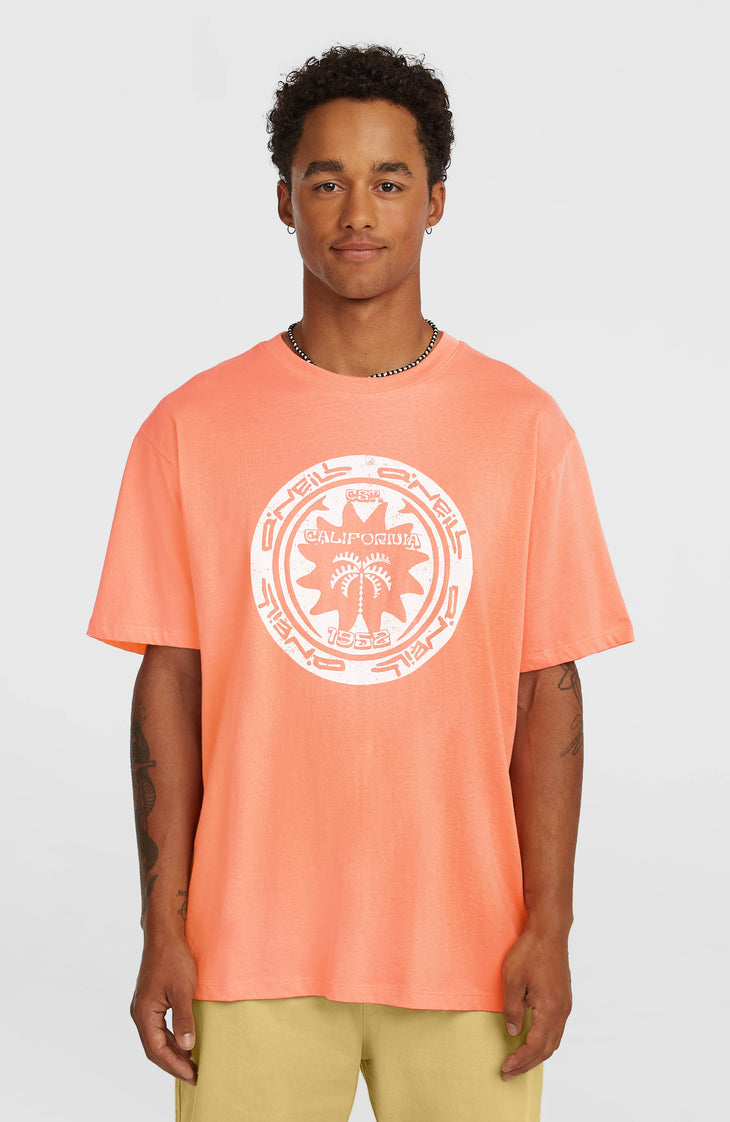 T-shirt O'Neill Must-Have Graphic | Funky Peach