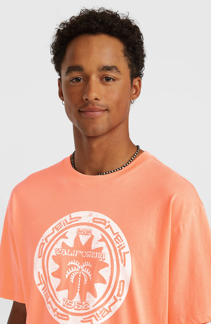 T-shirt O'Neill Must-Have Graphic | Funky Peach