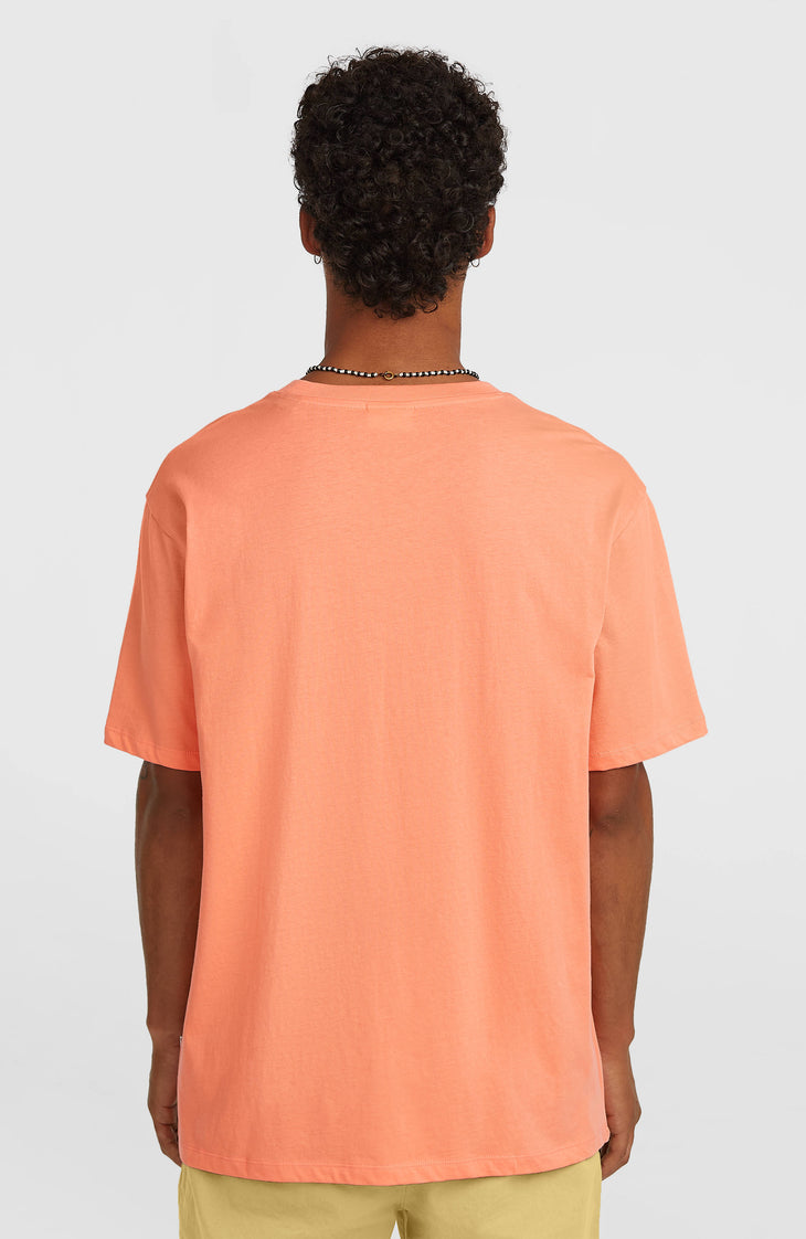 T-shirt O'Neill Must-Have Graphic | Funky Peach