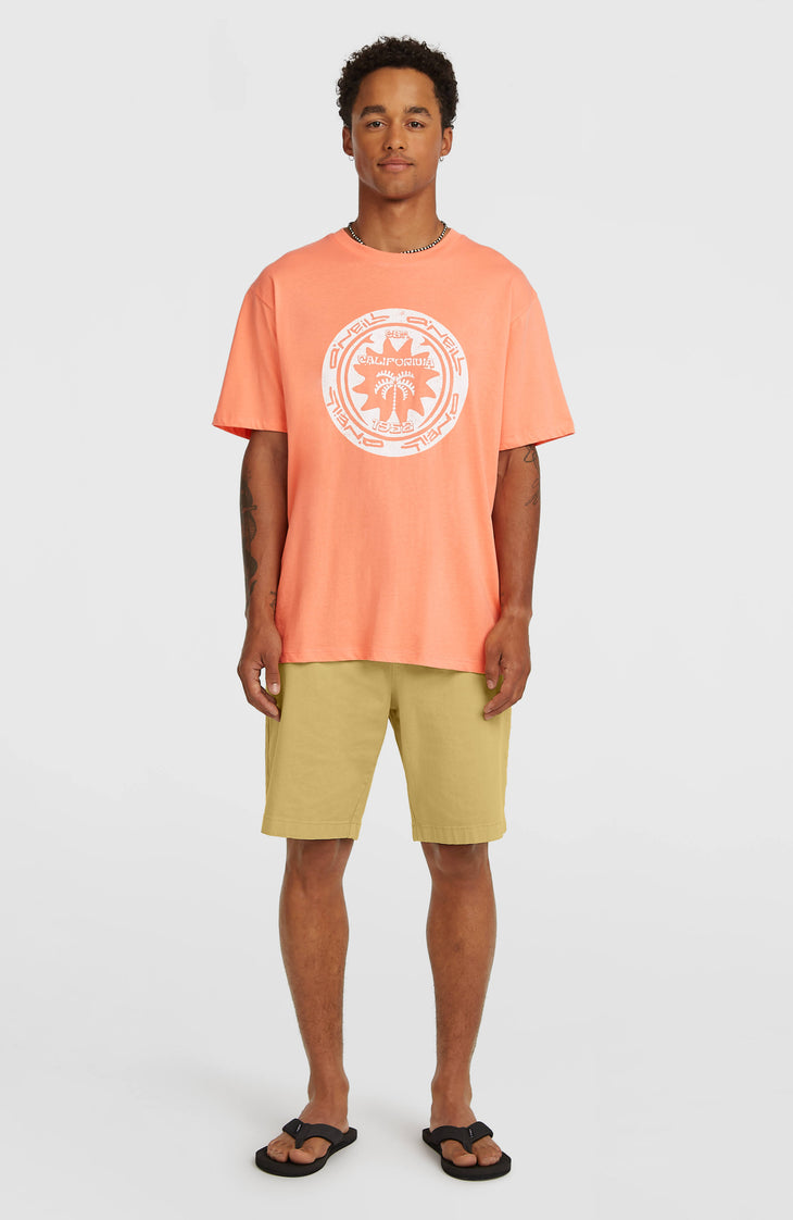T-shirt O'Neill Must-Have Graphic | Funky Peach