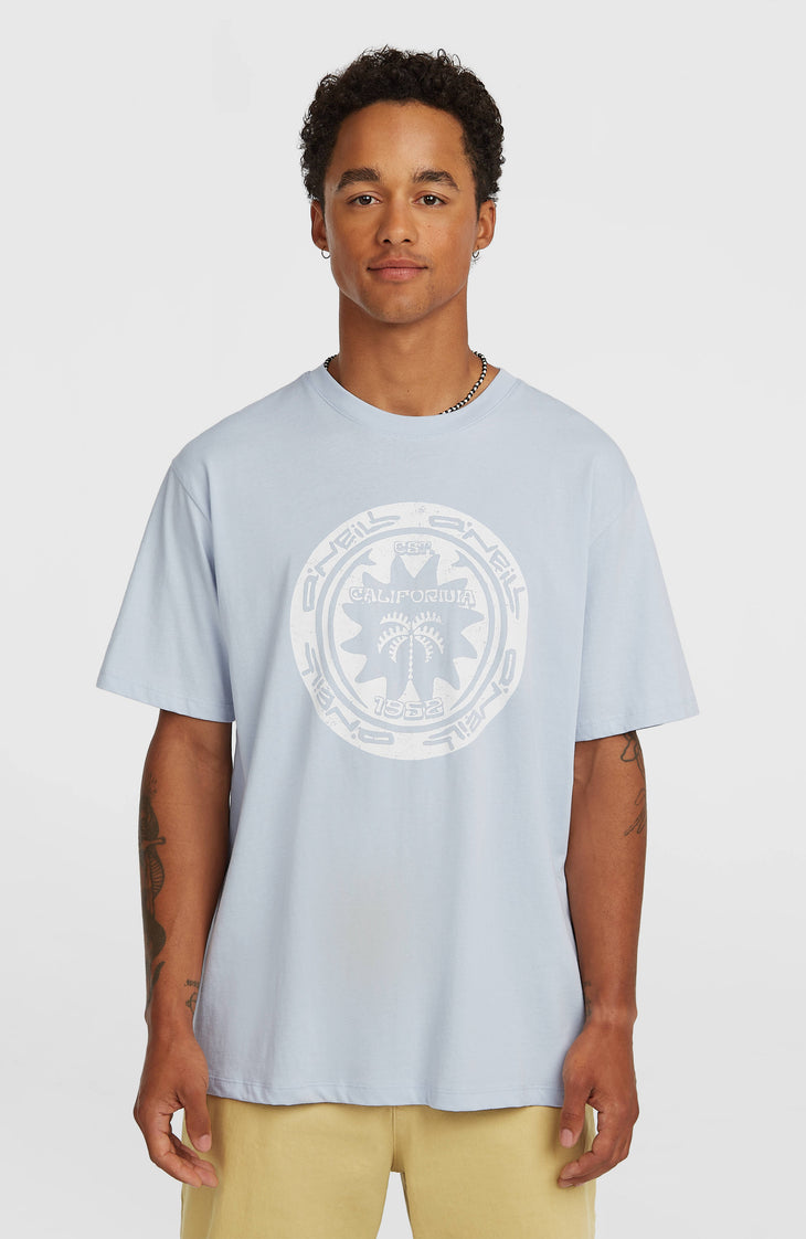 T-shirt O'Neill Must-Have Graphic | Spindle