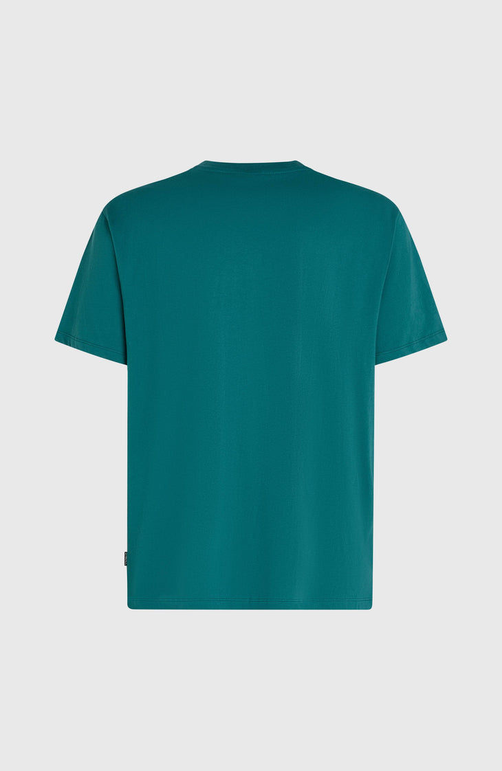 T-shirt O'Neill Must-Have Graphic | Botanical Heat