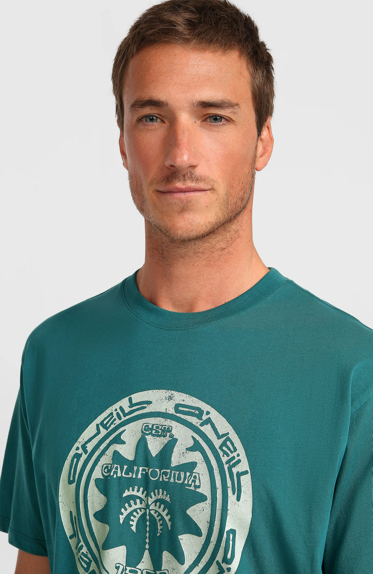 T-shirt O'Neill Must-Have Graphic | Botanical Heat