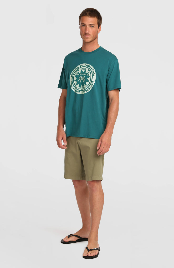 T-shirt O'Neill Must-Have Graphic | Botanical Heat