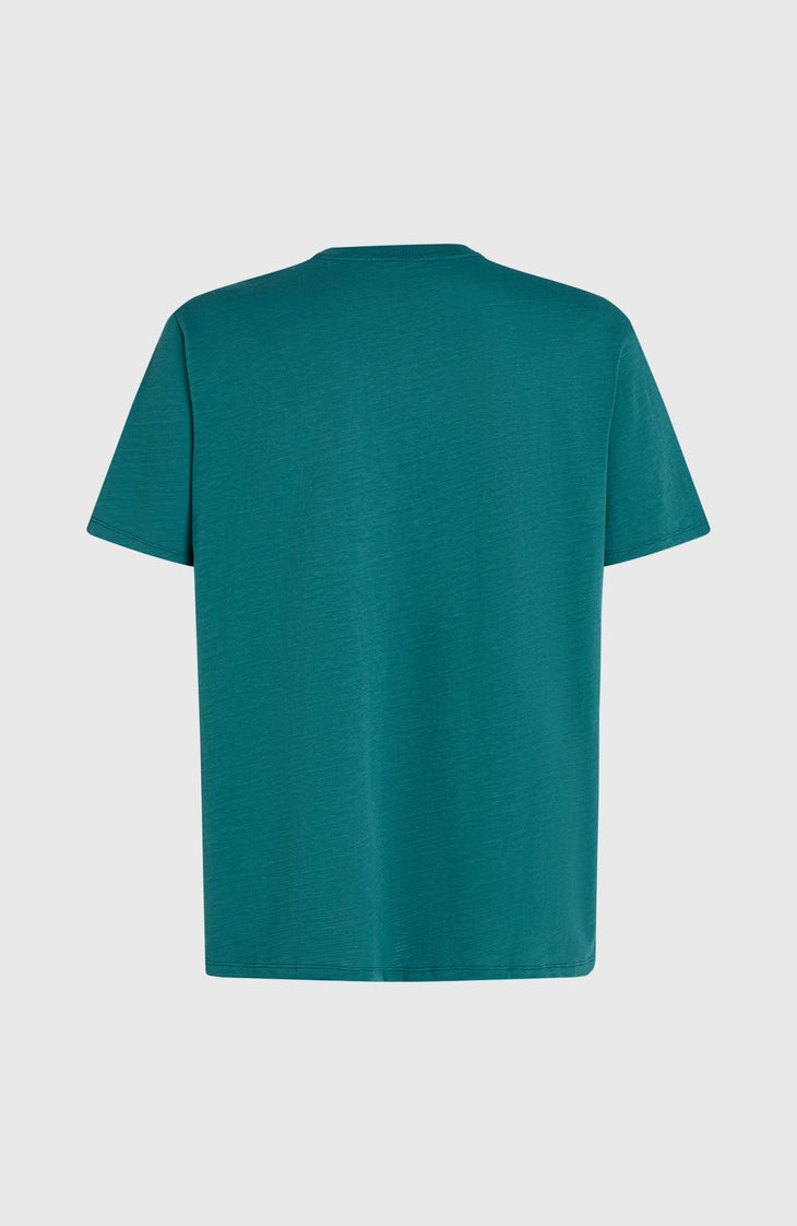 T-shirt O'Neill Slub Chest Pocket | Botanical Heat
