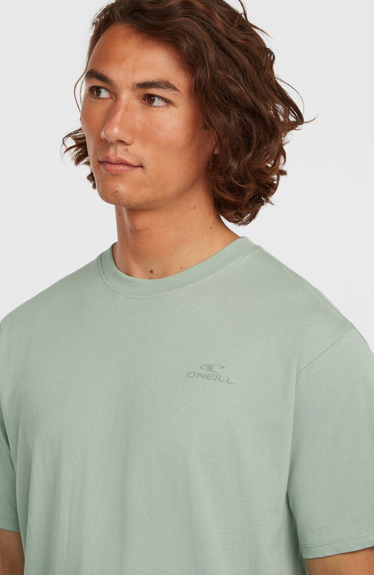 T-shirt O'Neill Small Logo | Marble Arch