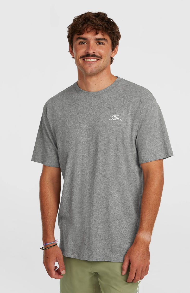 T-shirt O'Neill Small Logo | Silver Melee