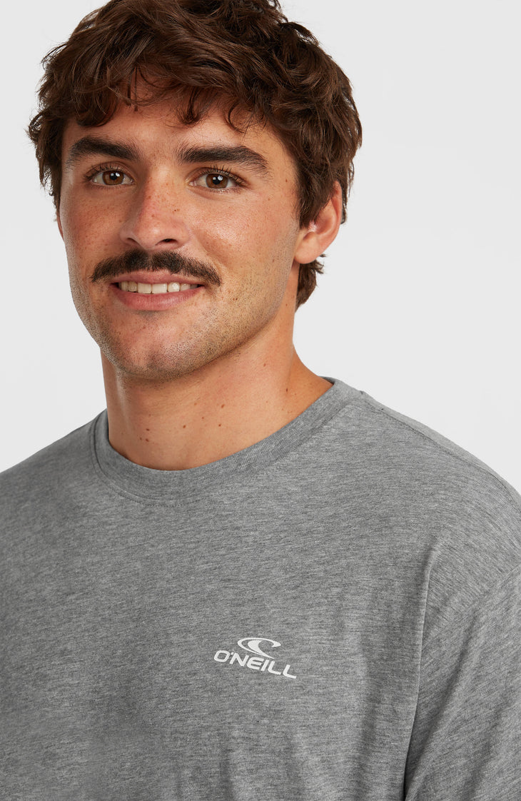 T-shirt O'Neill Small Logo | Silver Melee