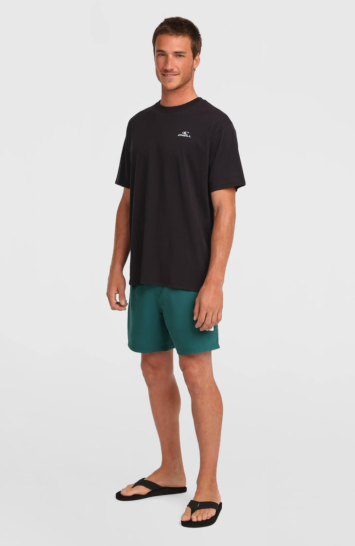 T-shirt O'Neill Small Logo | Black Out