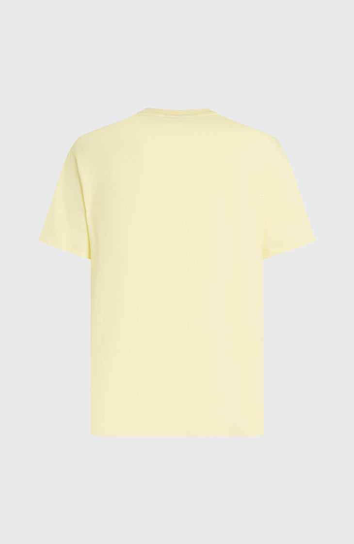 T-shirt O'Neill Muir | Rainforest Dew