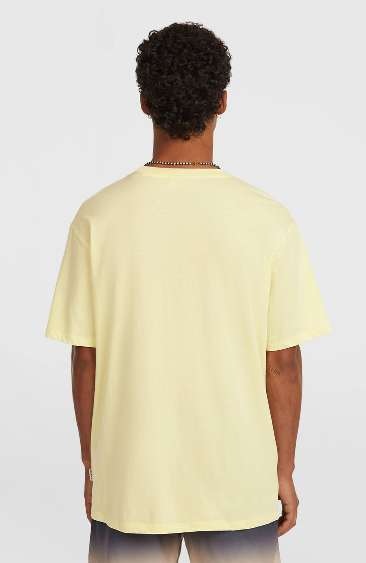 T-shirt O'Neill Muir | Rainforest Dew