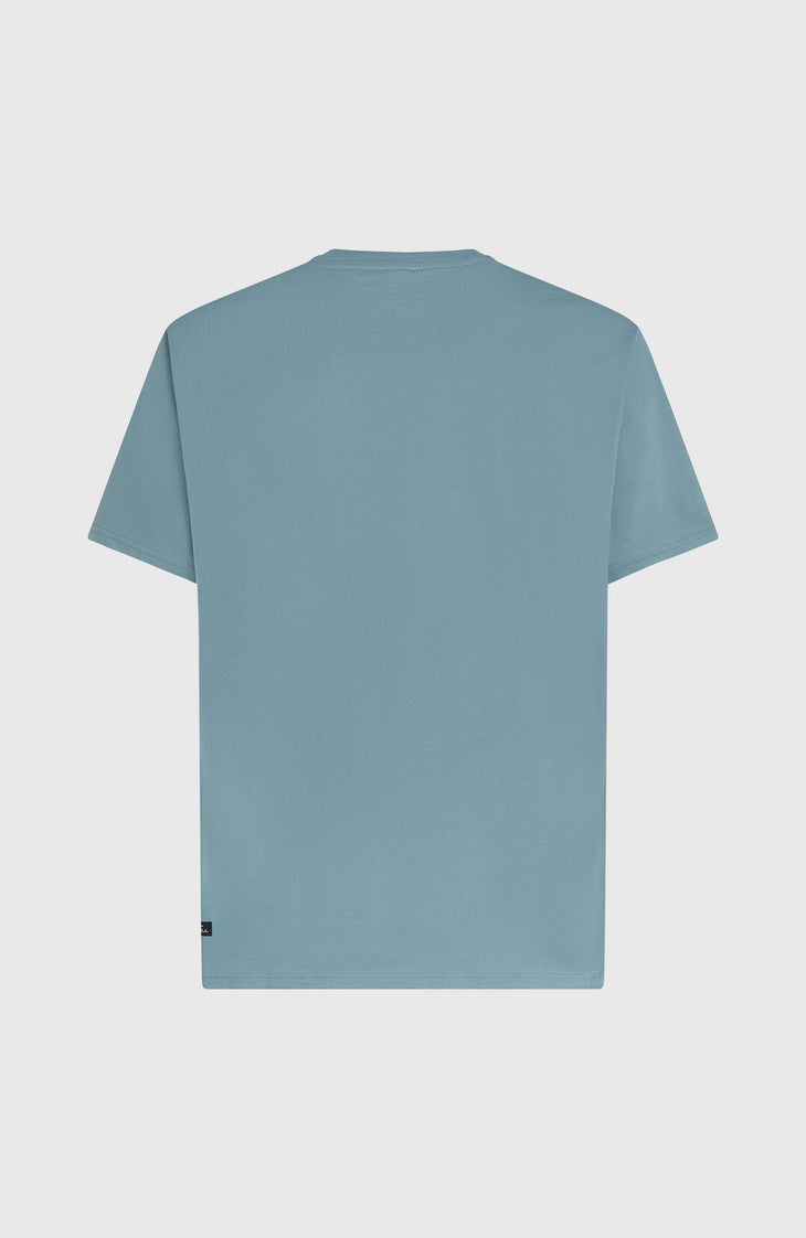 T-shirt O'Neill Must-Have Graphic | Murky Water