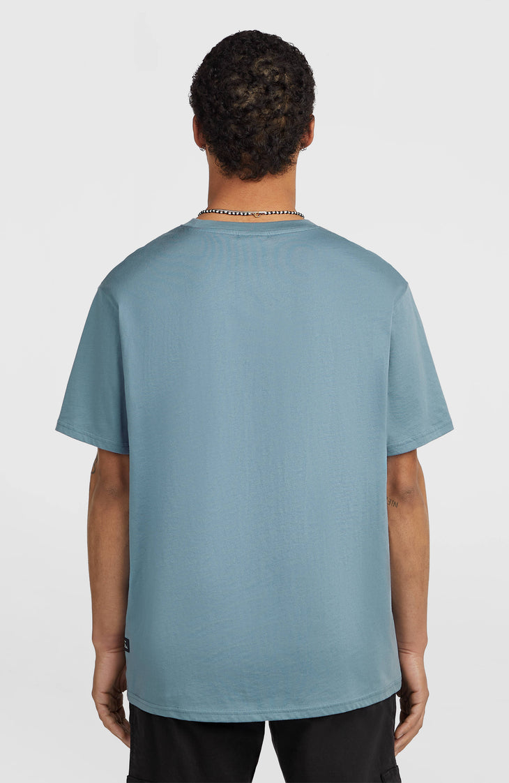 T-shirt O'Neill Must-Have Graphic | Murky Water