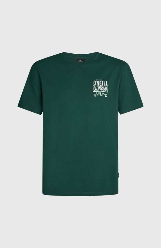 T-shirt O'Neill Small Logo | Emerald Envy