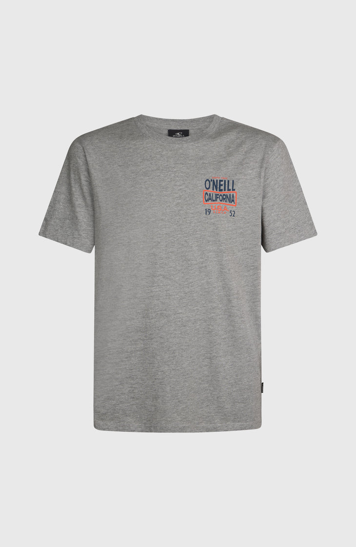 T-shirt O'Neill Small Logo | Silver Melee