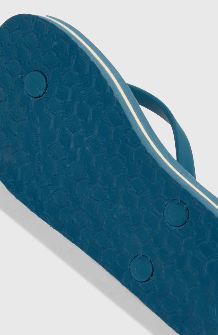 Tongs Profile Graphic | Blue Santa Monica