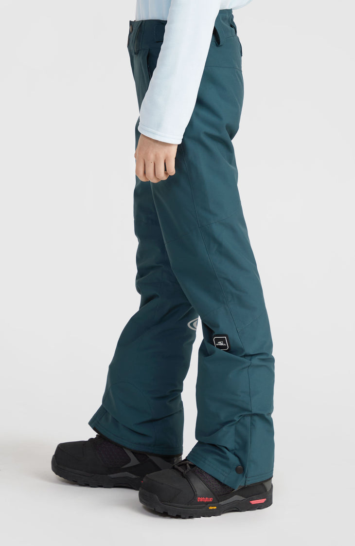 Pantalon de ski Star Regular | Alma Steel