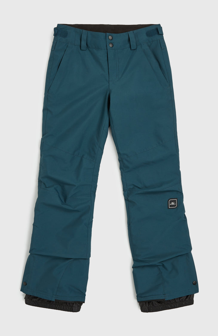 Pantalon de ski Star Regular | Alma Steel