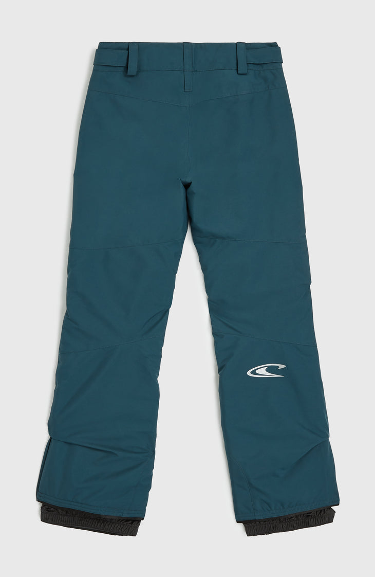 Pantalon de ski Star Regular | Alma Steel