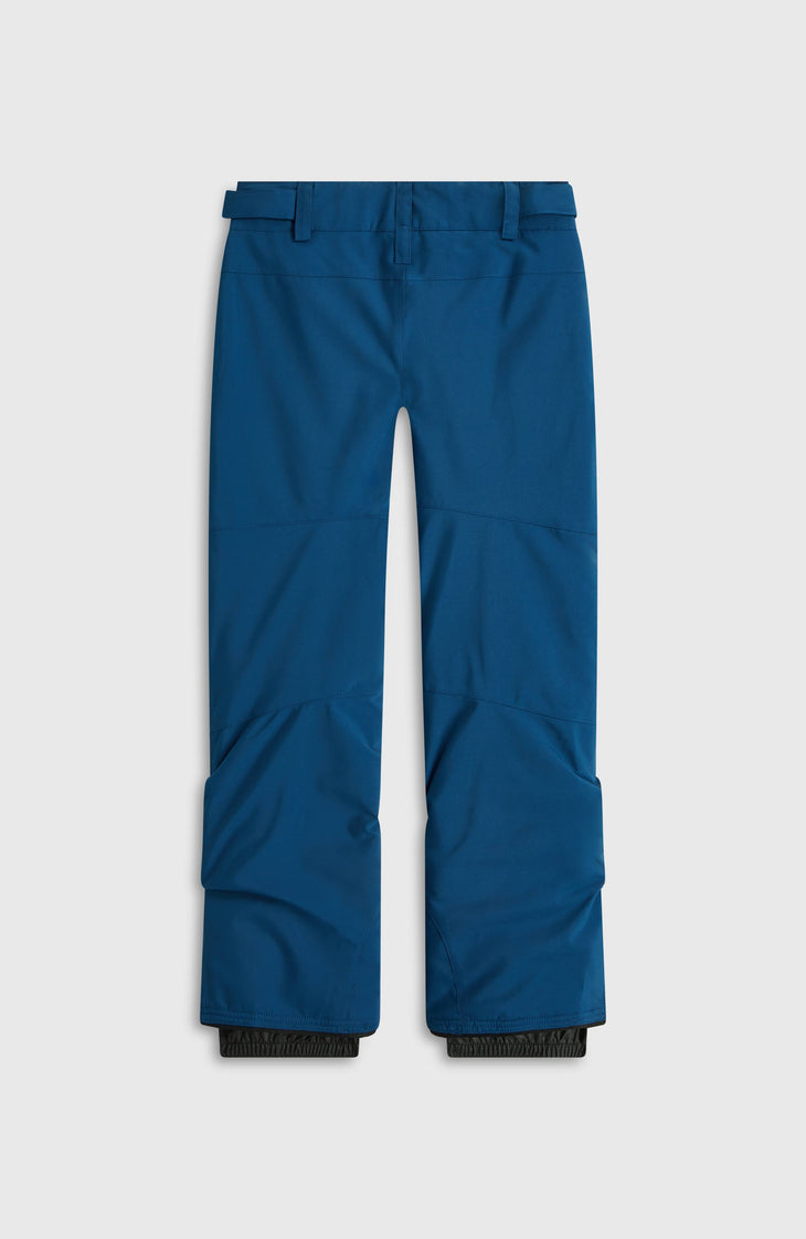 Pantalon de ski FWC'Cruz | Regal Blue