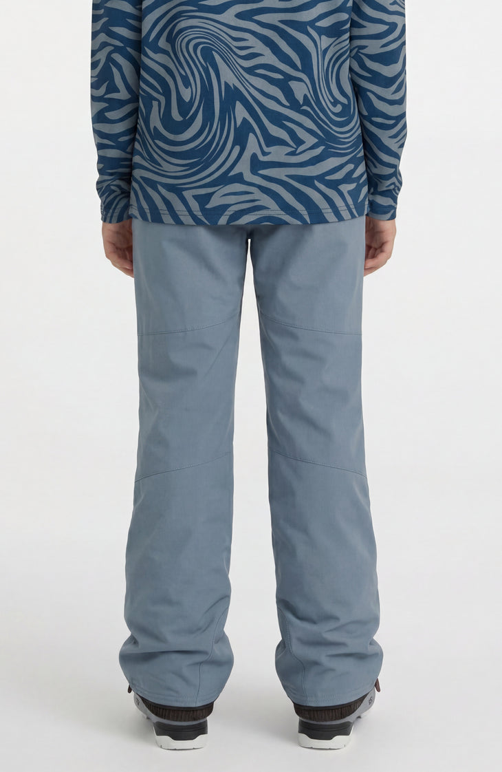 Pantalon de ski FWC'Cruz | Murky Water