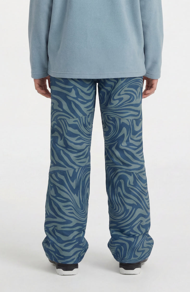 Pantalon de ski FWC'Cruz | Blue Swirl Zebra