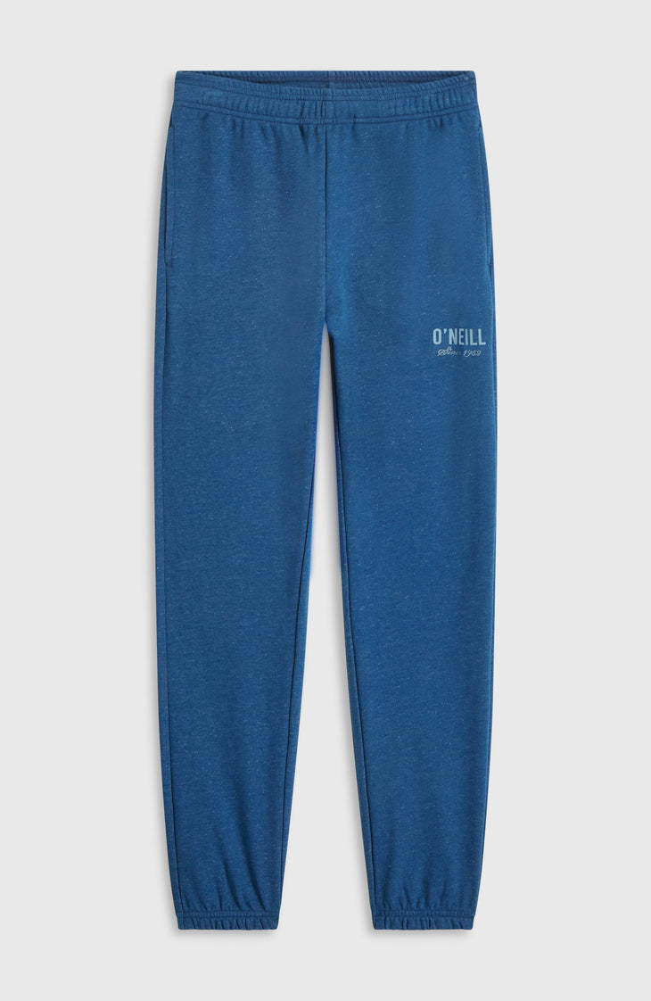 Pantalon de survêtement Essentials | Regal Blue