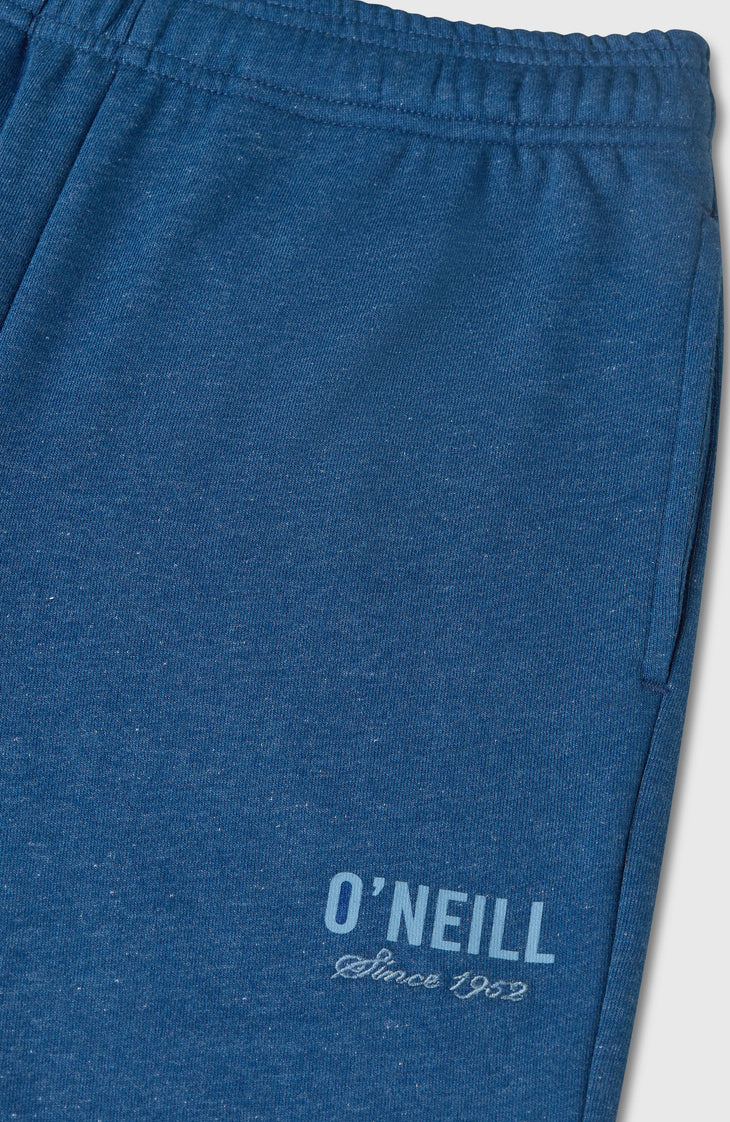 Pantalon de survêtement Essentials | Regal Blue