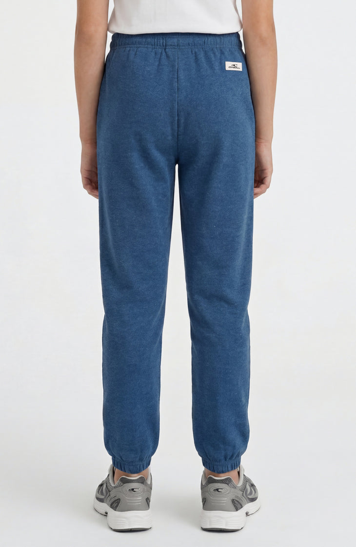 Pantalon de survêtement Essentials | Regal Blue