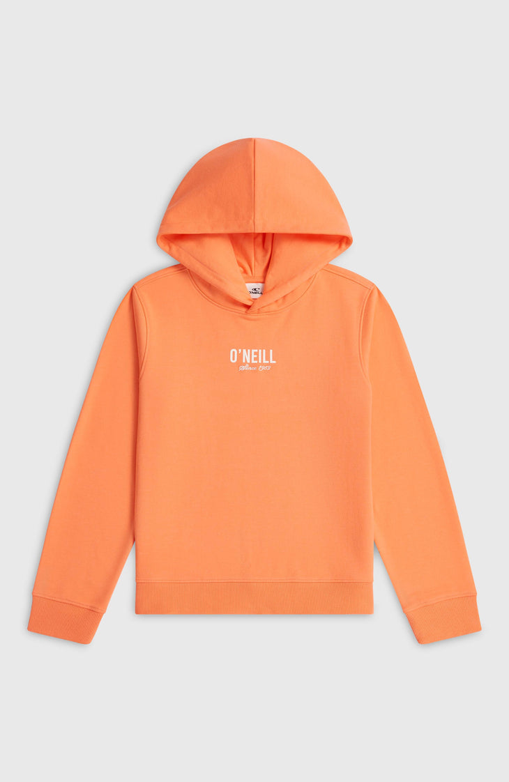 Sweat à capuche Essentials | Funky Peach