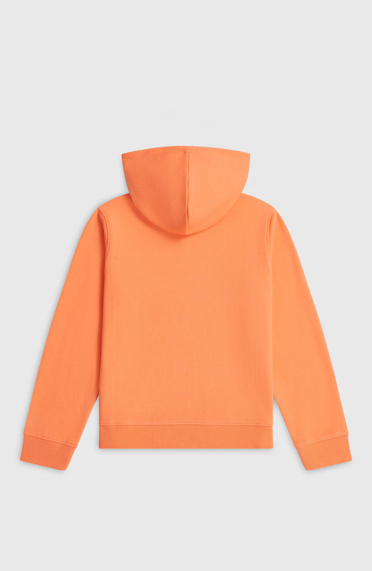 Sweat à capuche Essentials | Funky Peach