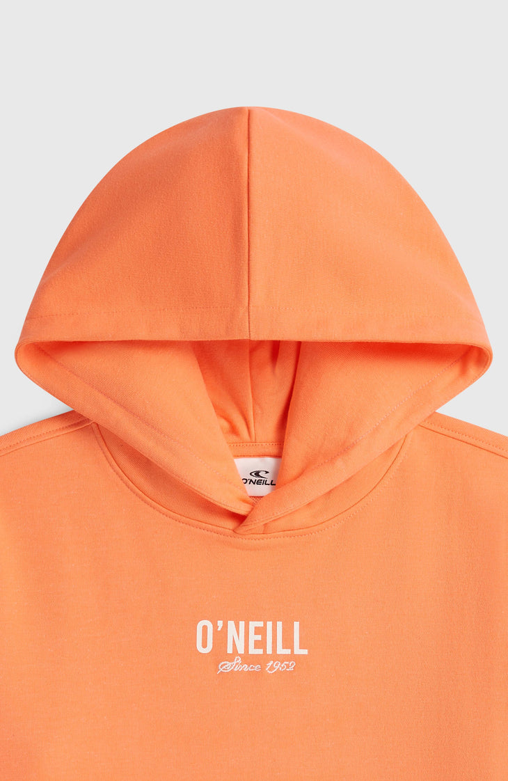 Sweat à capuche Essentials | Funky Peach