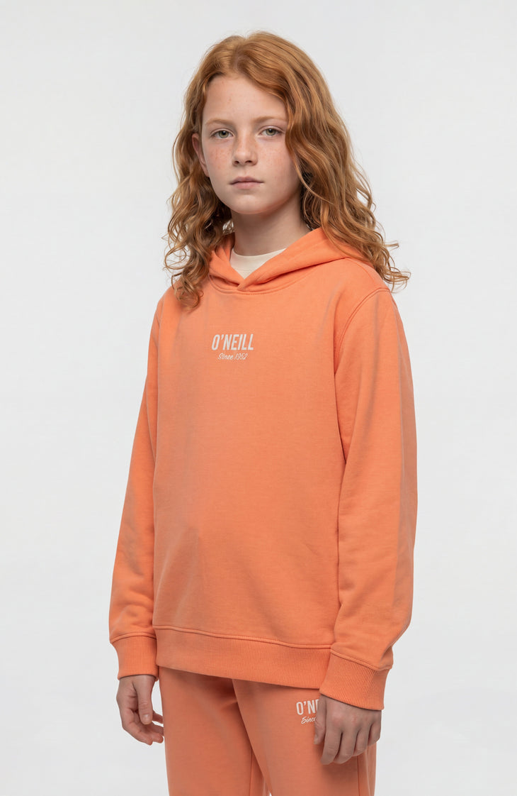 Sweat à capuche Essentials | Funky Peach