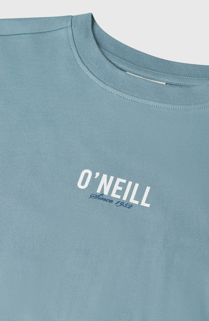 T-shirt O'Neill Back-Print | Murky Water