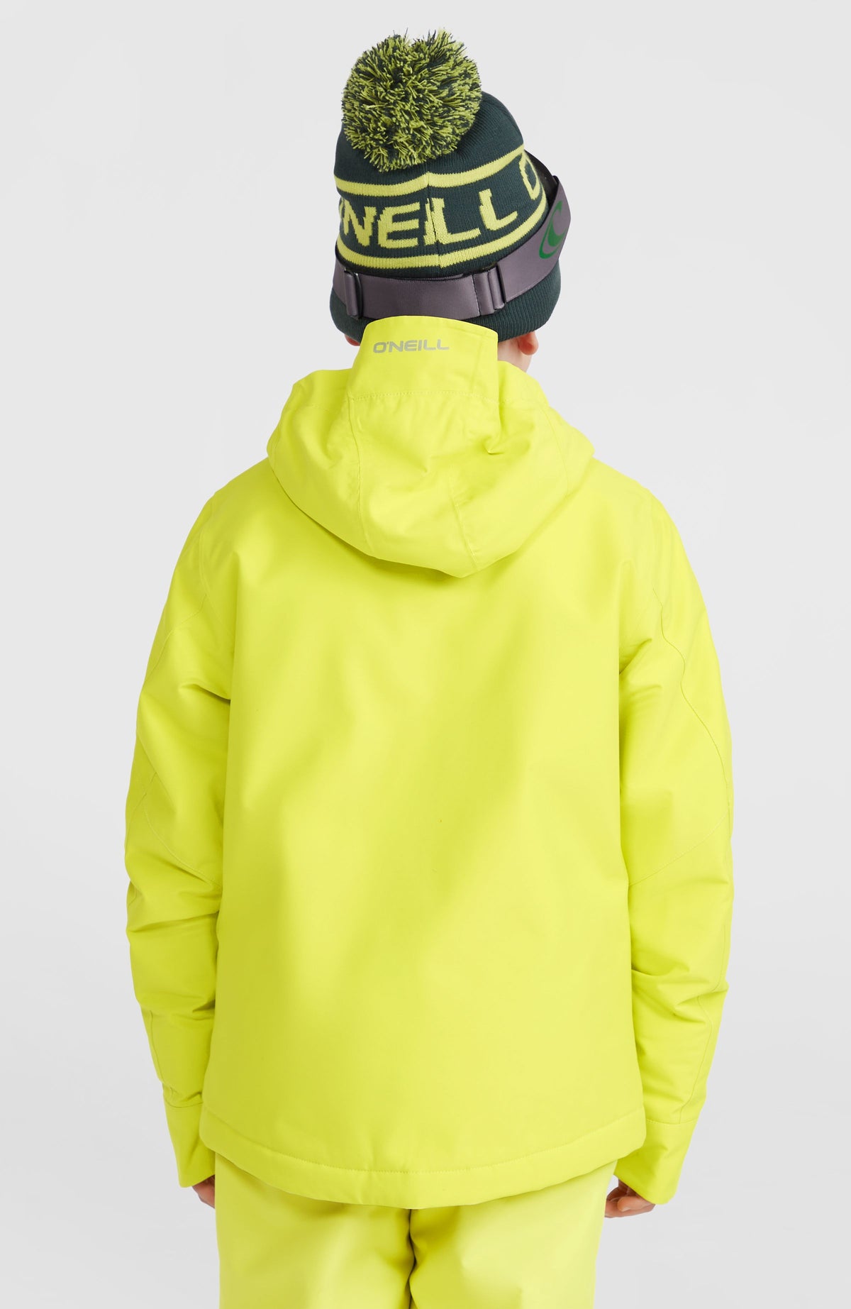 Veste de ski Hammer | Luca Lime
