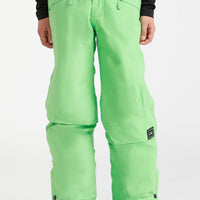 Pantalon de snow Hammer | Luminous Green