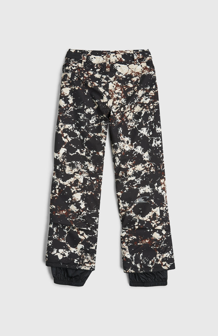 Pantalon de ski FWC'Cruz | Black/Beige Quarry