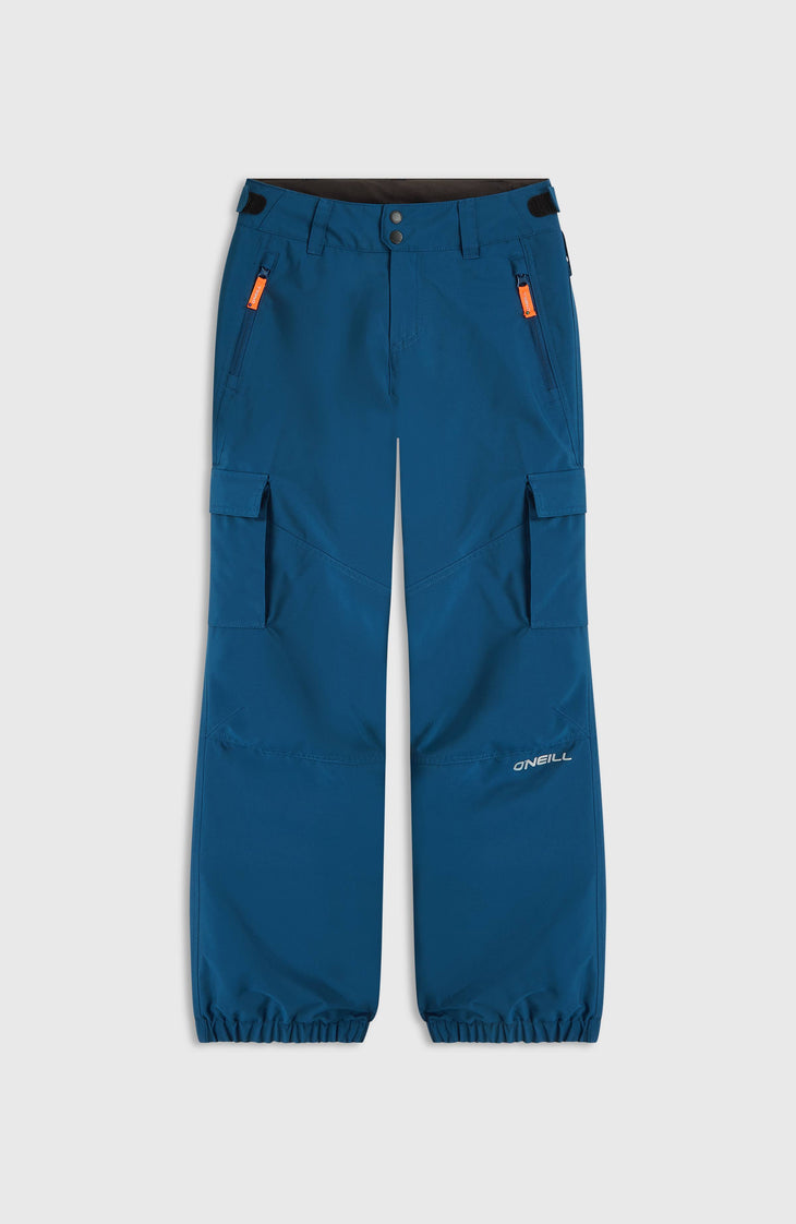Pantalon de ski FWC'Cruz Cargo | Regal Blue