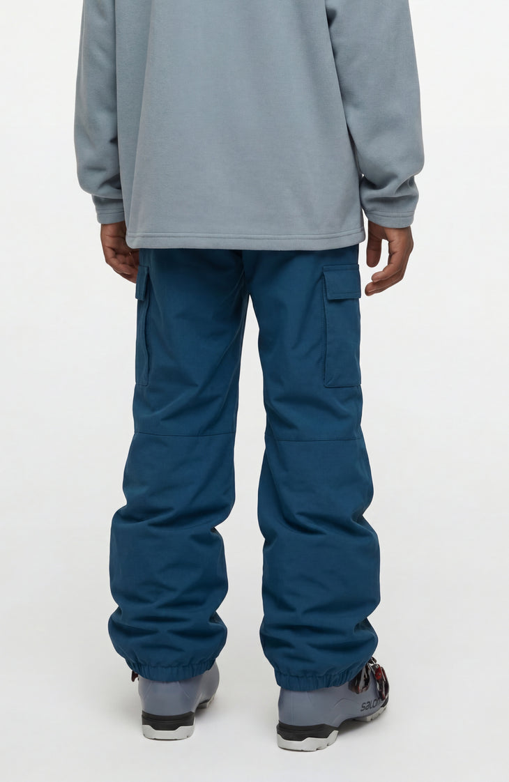 Pantalon de ski FWC'Cruz Cargo | Regal Blue