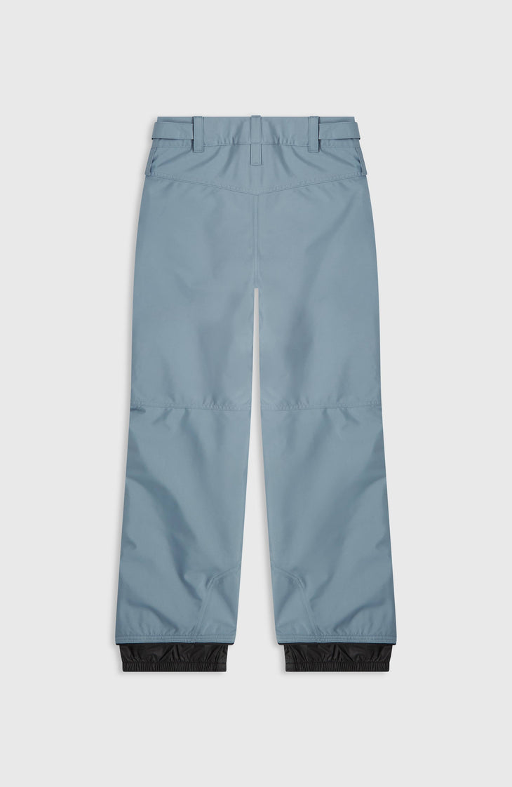 Pantalon de ski FWC'Cruz | Murky Water