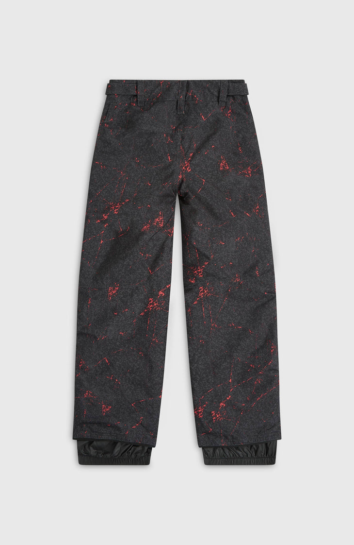 Pantalon de ski FWC'Cruz | Black Basalt