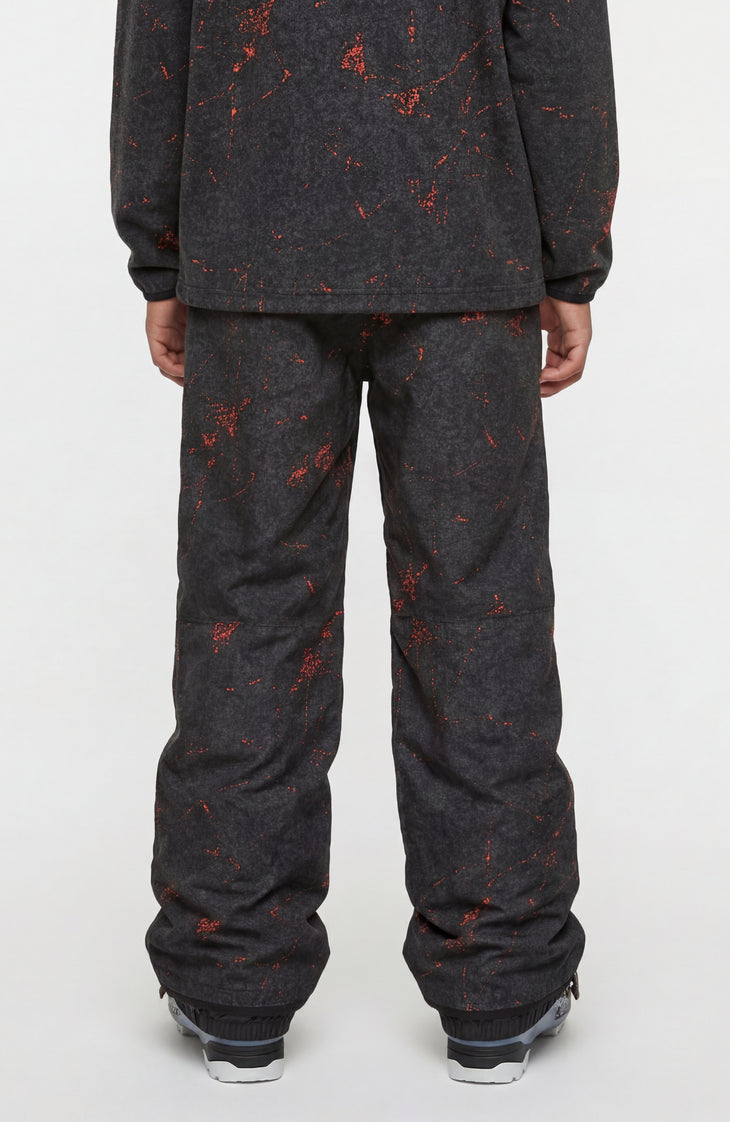 Pantalon de ski FWC'Cruz | Black Basalt