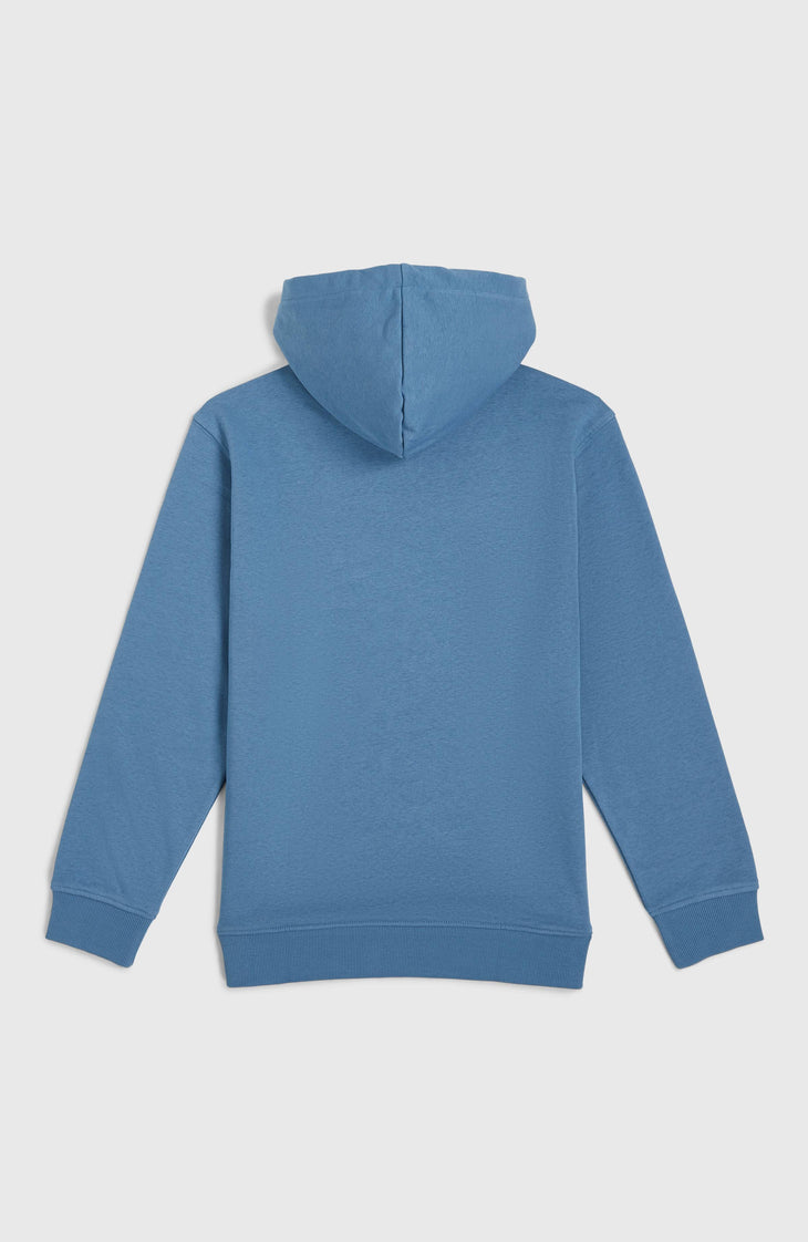 Sweat à capuche Graphic | Copen Blue