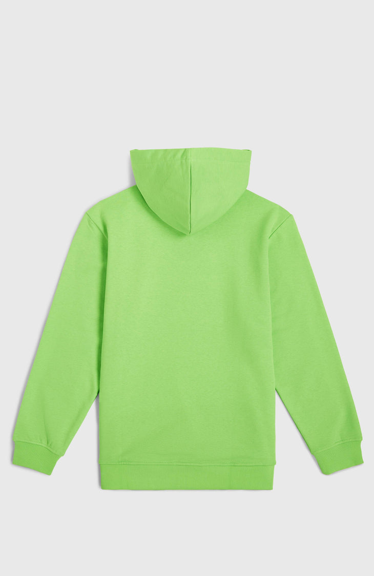 Sweat à capuche Logo | Paradise Valley